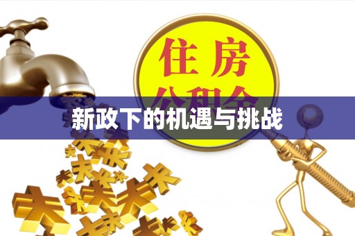 成功新政下的机遇与挑战