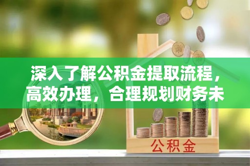 成功深入了解公积金提取流程，高效办理，合理规划财务未来