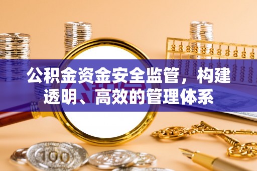 成功公积金资金安全监管，构建透明、高效的管理体系