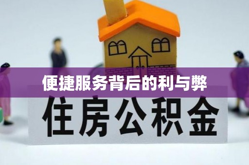 成功便捷服务背后的利与弊