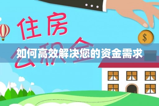 成功如何高效解决您的资金需求