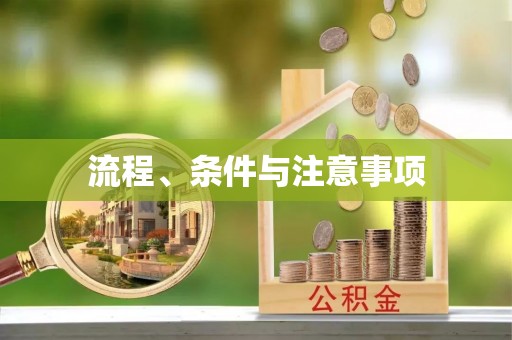 成功流程、条件与注意事项