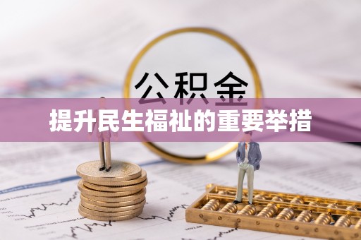 成功提升民生福祉的重要举措