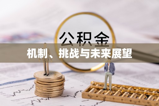 成功机制、挑战与未来展望